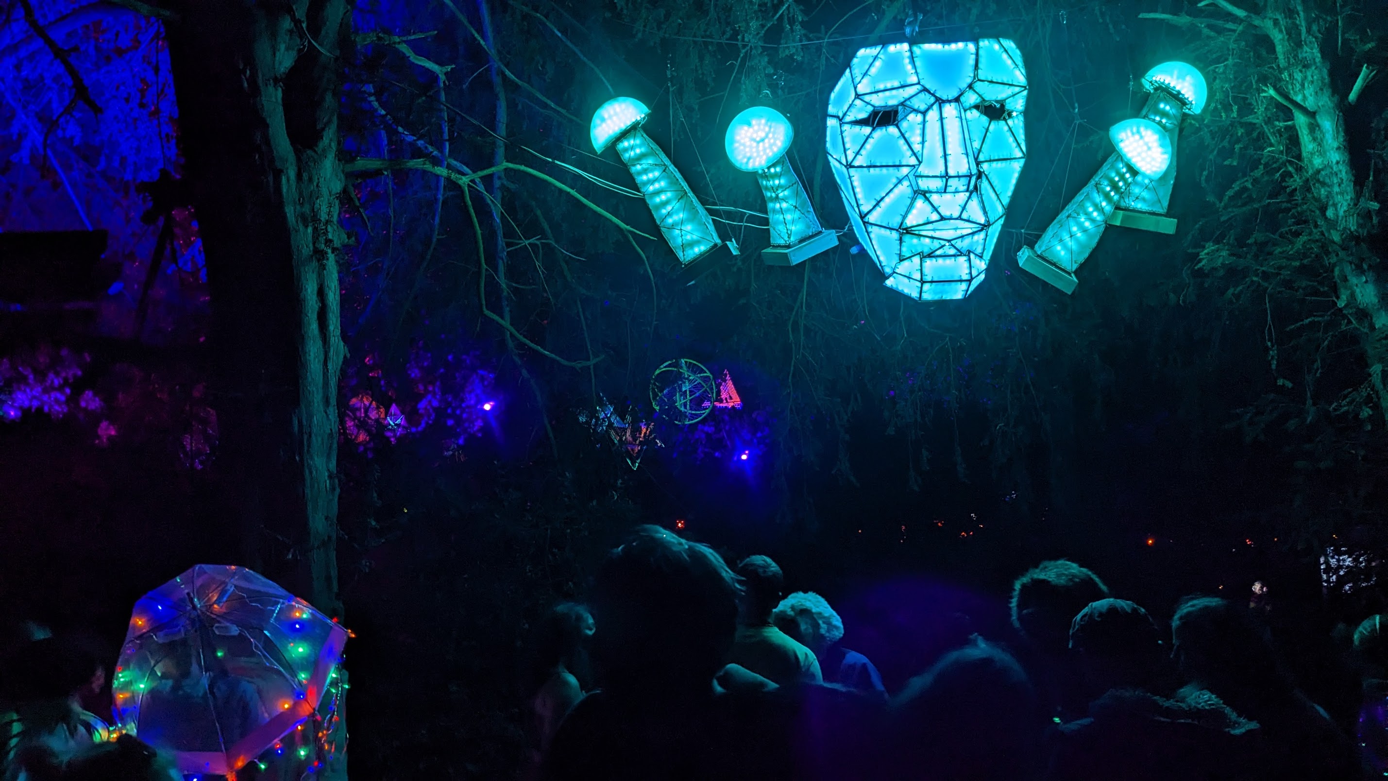 PXL_20230825_213541504.NIGHT